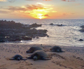 Honu Sunset Steps to the Beach